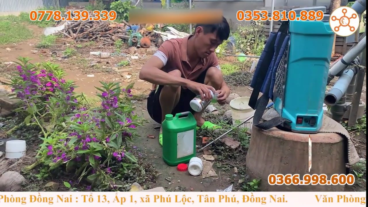 Phần4: Vườn Cà Tím thúi lá, thúi đọt sau mưa đầu mùa | Dùng CaBoSi và vi sinh FINEM #KỹThuậtTrồngCà
