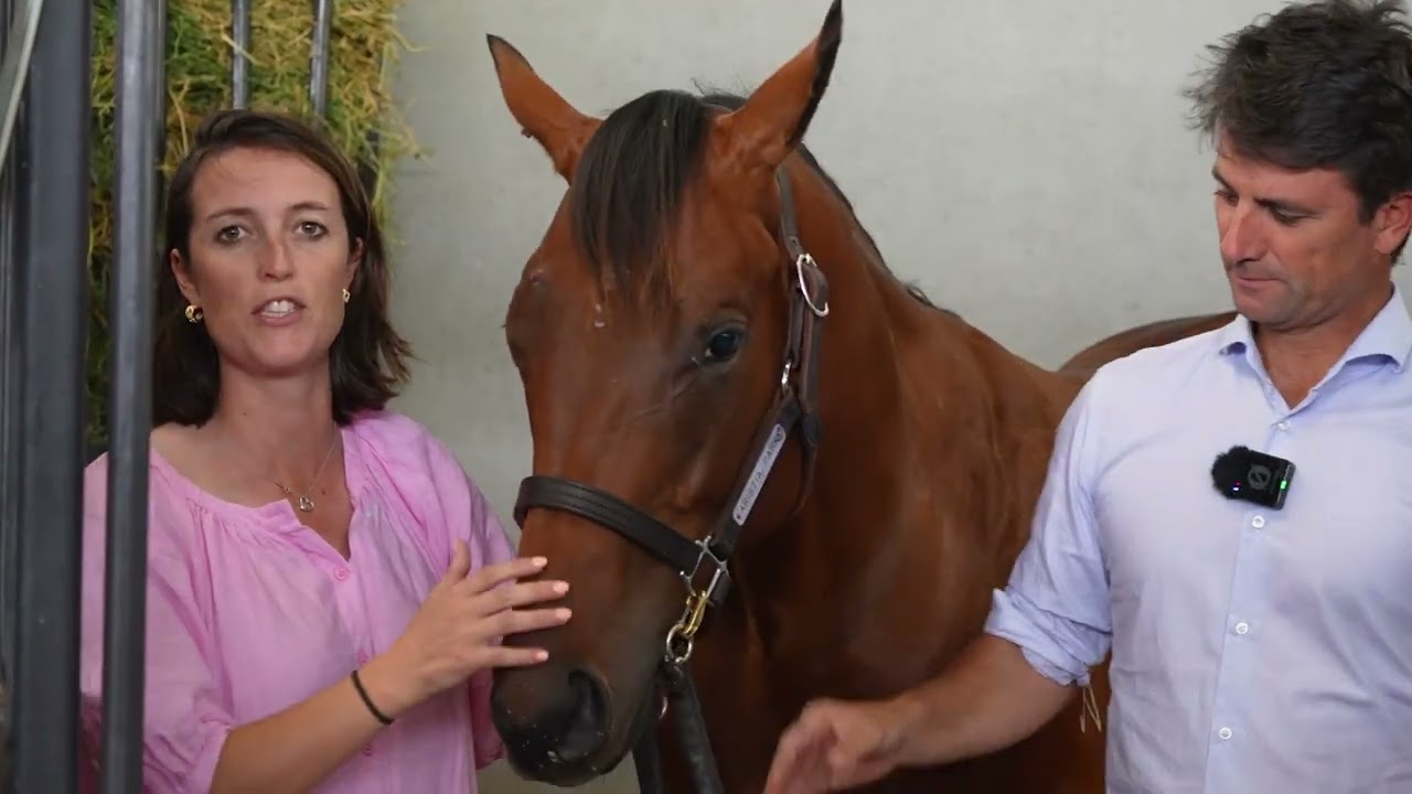 Lot 84 Anamoe x Glows