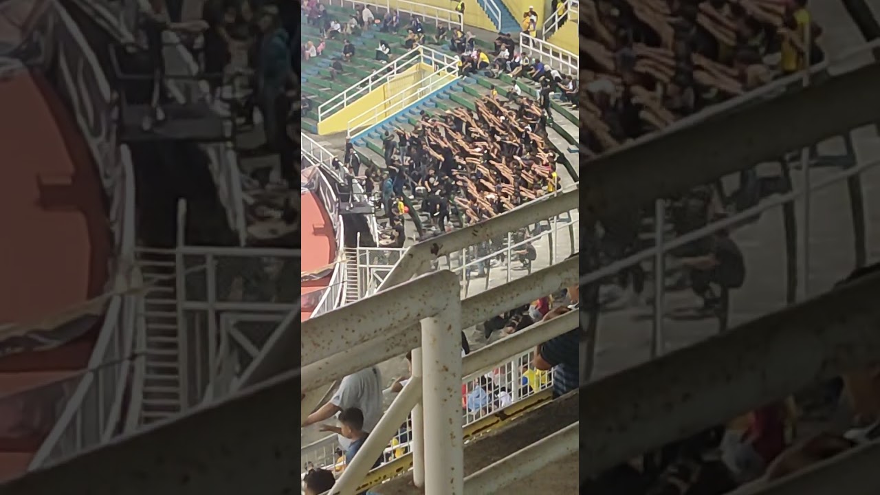 Elephant Army Ultras Pahang | 2023