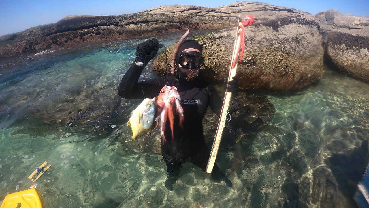 PESCA SUB - Ca&ccedil;a do raso ao fundo com muita vida! #spearfishing #mergulho