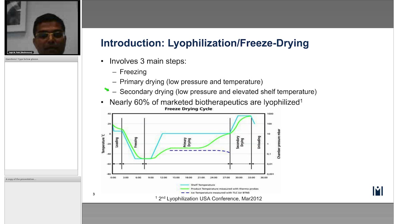 Lyophilized Drug Product Development: An Industry Perspective