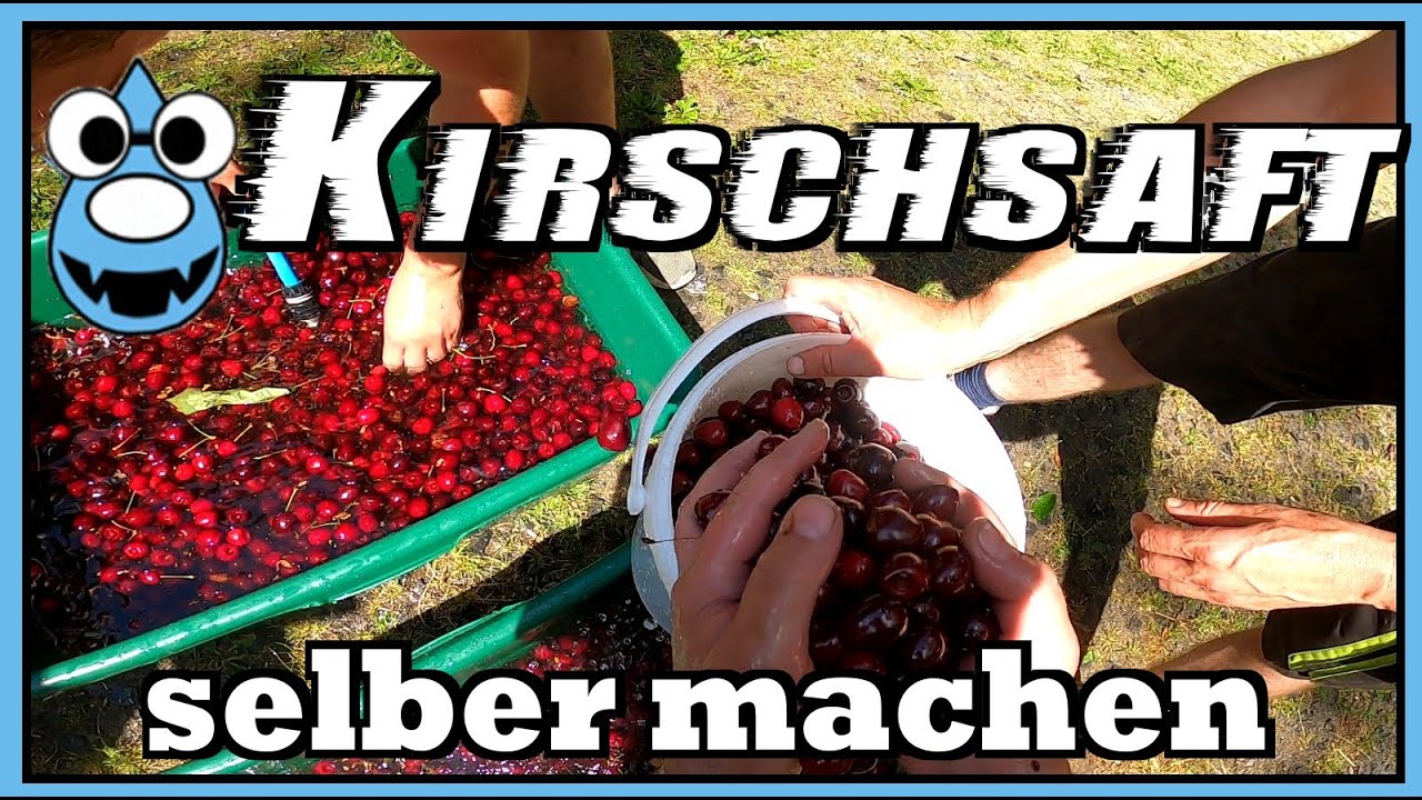 🍒leckeren Kirschsaft ganz einfach selber machen🍒