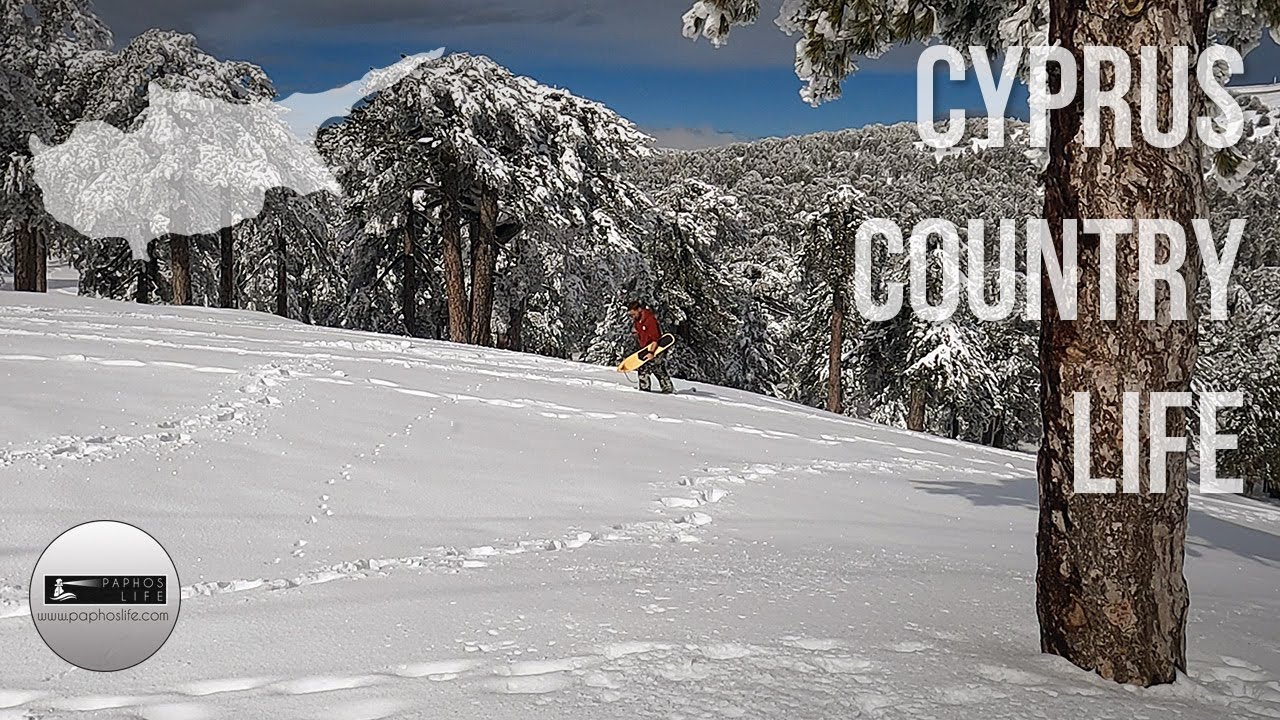 Troodos Winter Wonderland 2024