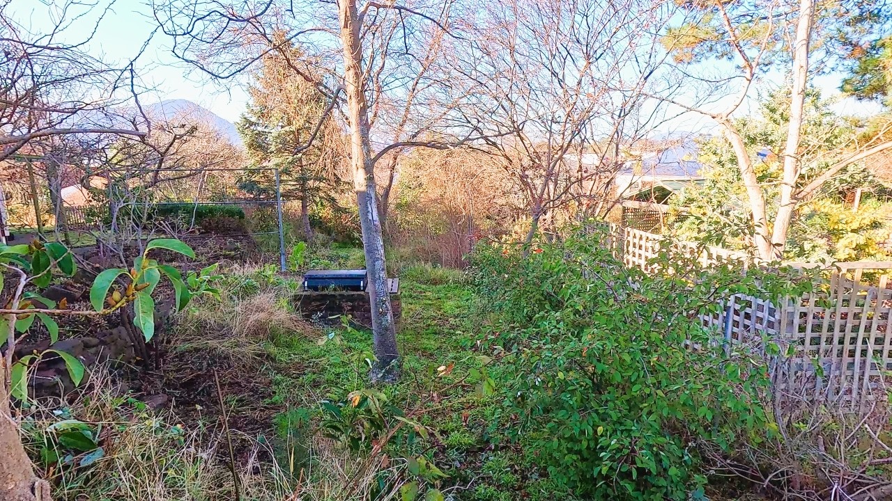 The Most SATISFYING Yard Cleanup You Have Seen This YEAR! (Part 8)