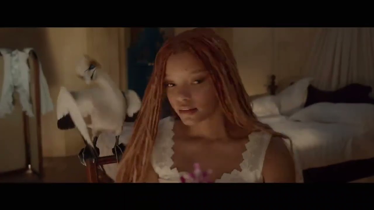 Reversed Music Videos #232: From Disney's The Little Mermaid - The Scuttlebutt (Reversed)