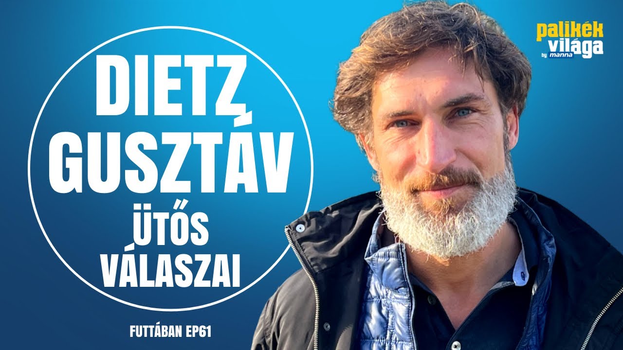 DIETZ GUSZTÁV ÜTŐS VÁLASZAI / Futtában / Palikék Világa by Manna