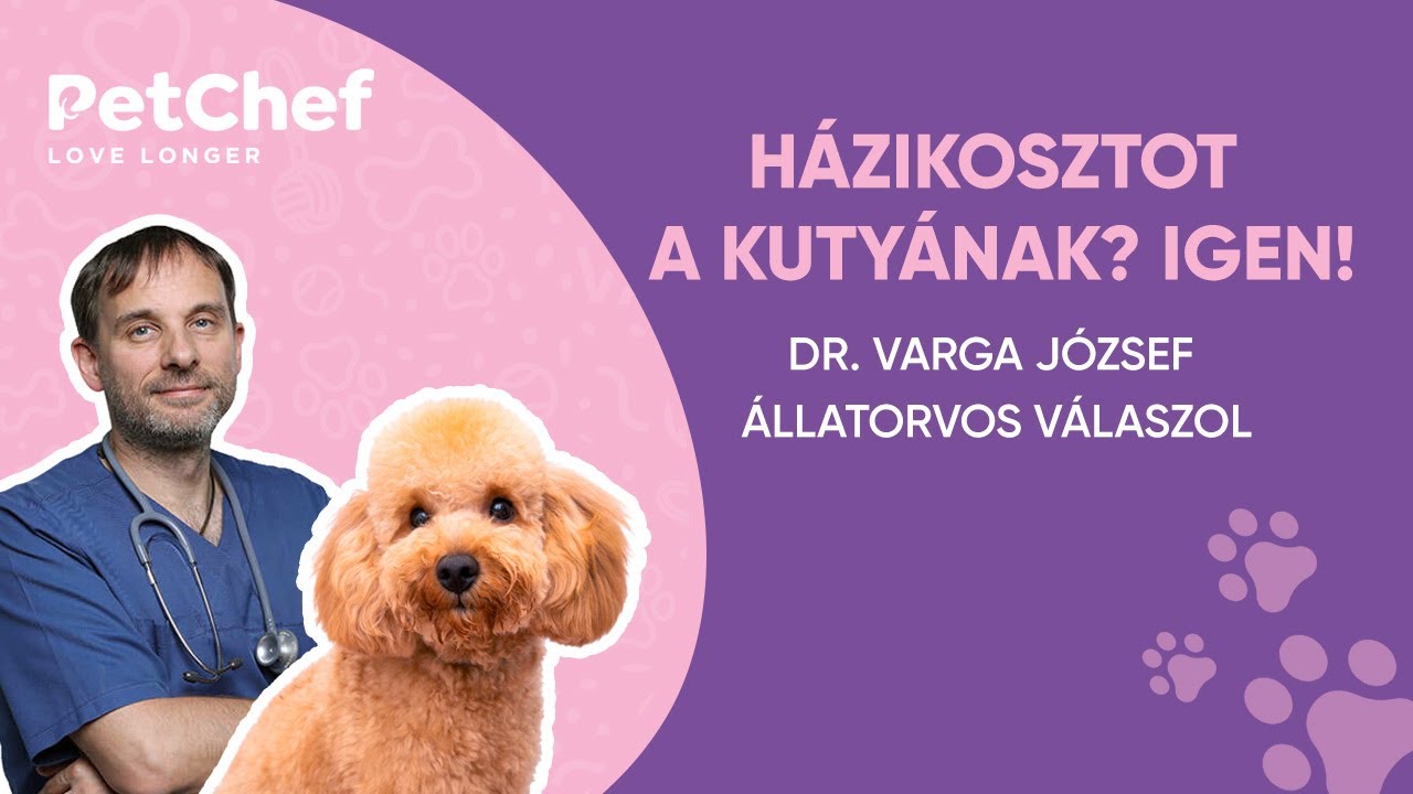 H&aacute;zikosztot a kuty&aacute;nak? Igen! - dr. Varga J&oacute;zsef &aacute;llatorvos - PetChef