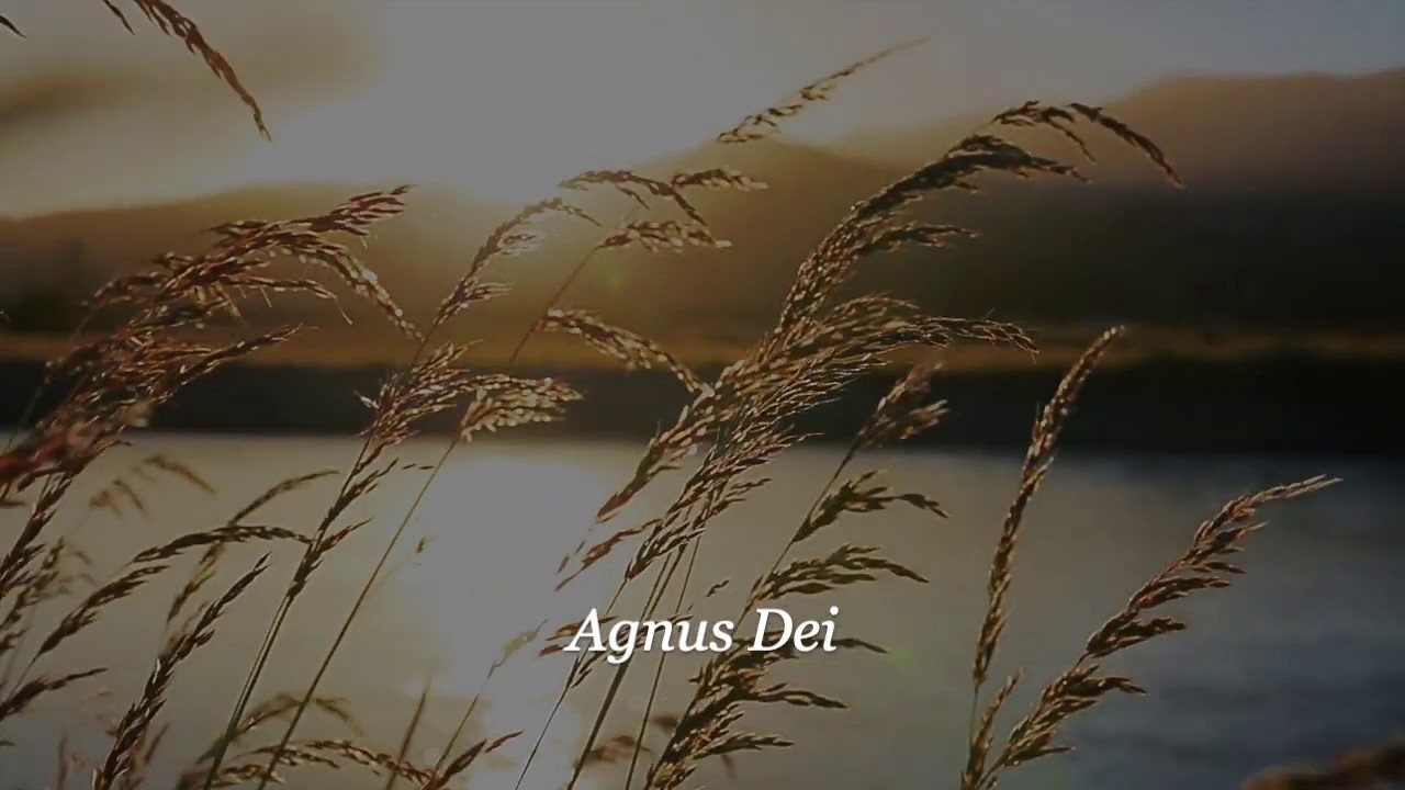Agnus Dei - The Armed Man (K. Jenkins) - CCVS