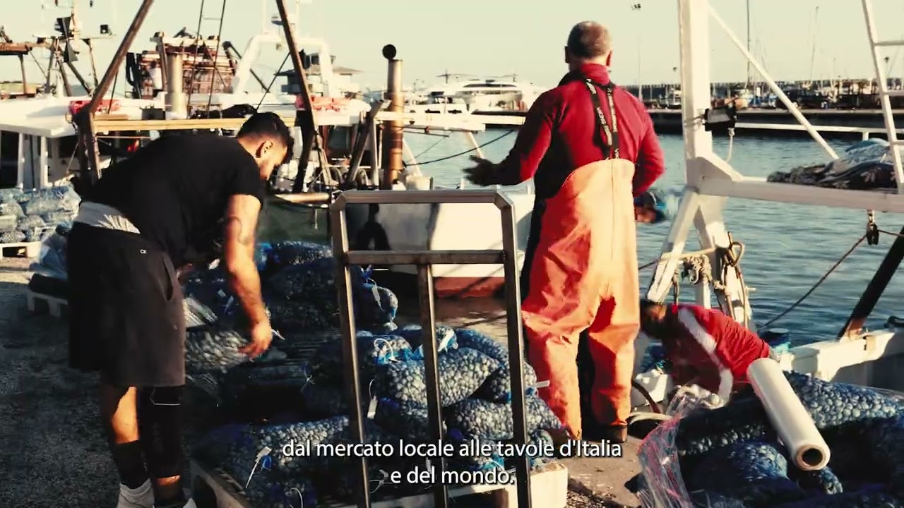 Fano in Mare - La filiera d'eccellenza fanese