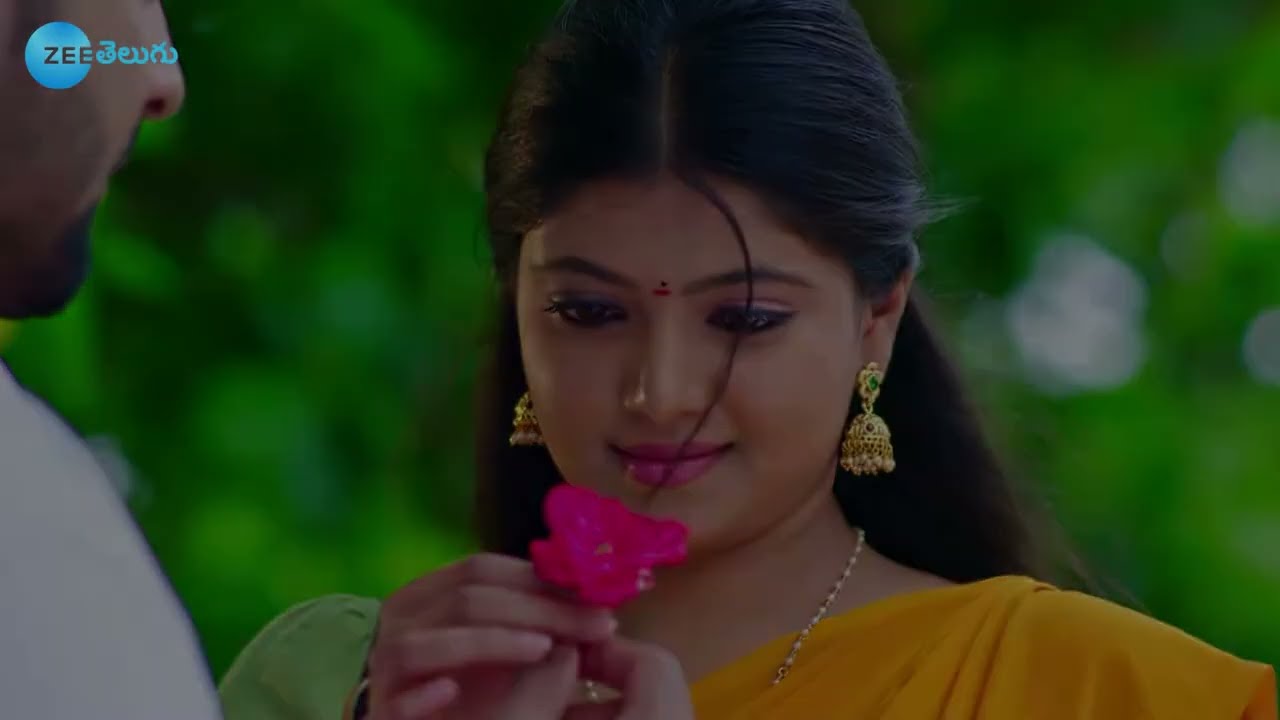 Vaidehi Parinayam - Telugu TV Serial- Full Ep 295 - Pavan Ravindra And Yukta Malnad - Zee Telugu