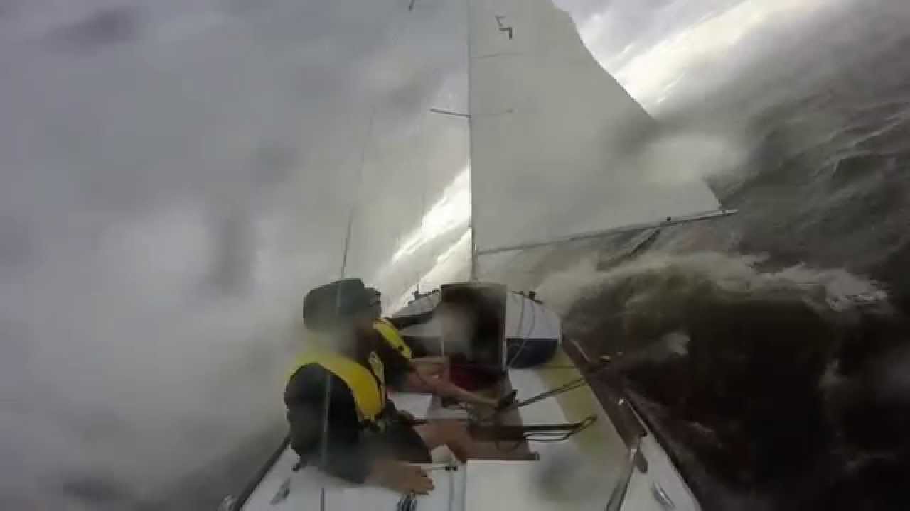 Shark sailing: Dans la tempête!