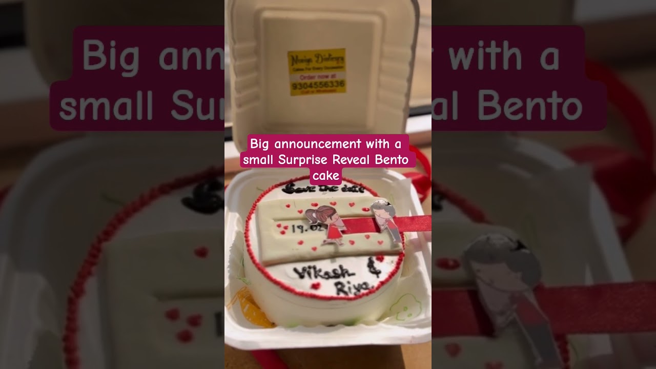 surprise Reveal Bento cake