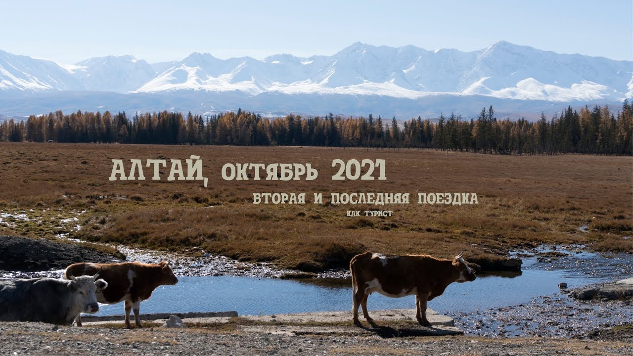 2021-10-14 - Поездка на Алтай с Зинуром #2