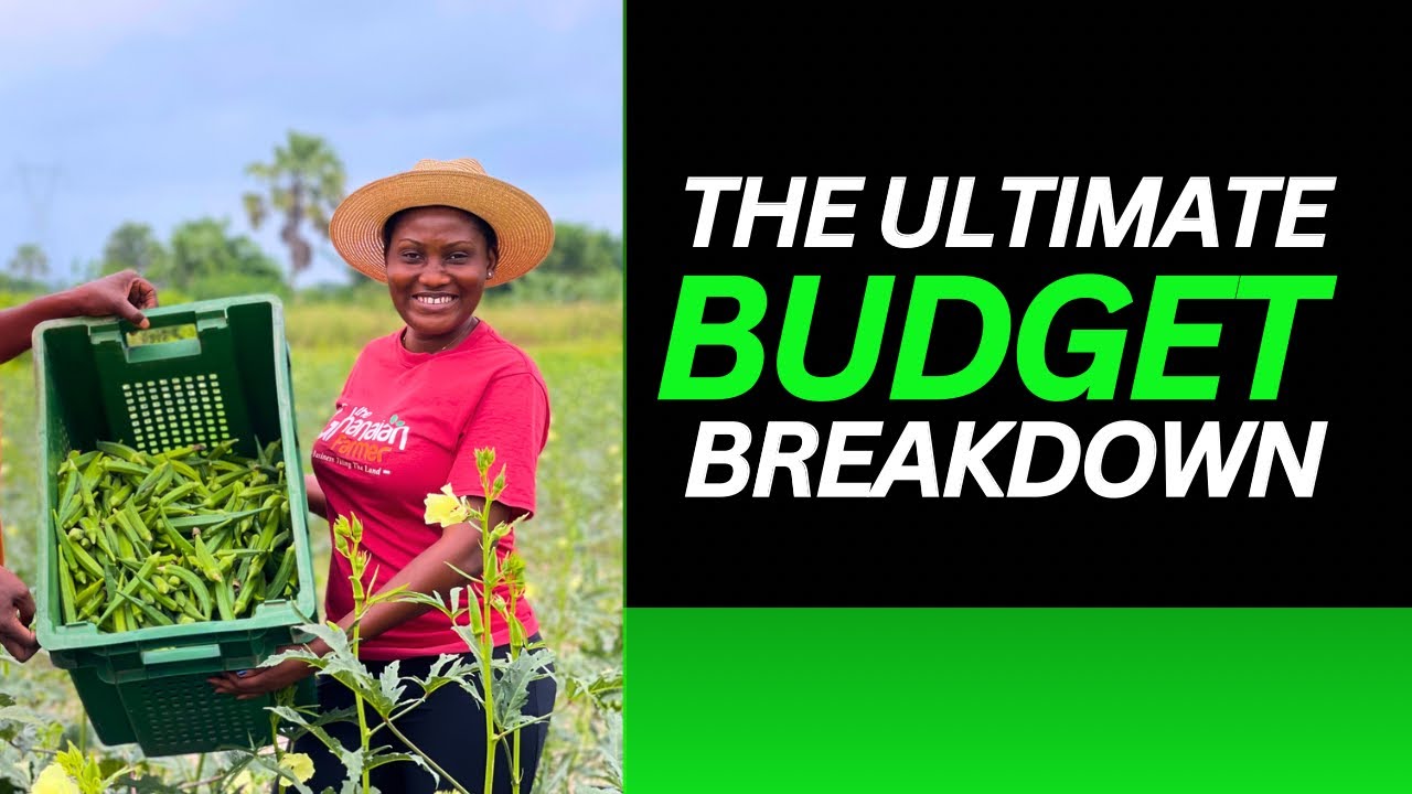 Beginners Guide To Profitable One Acre Okra Farm In Ghana. Budget Breakdown