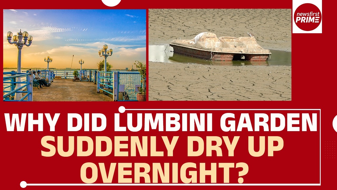Почему сад Лумбини внезапно высох за одну ночь? | @newsfirstprime