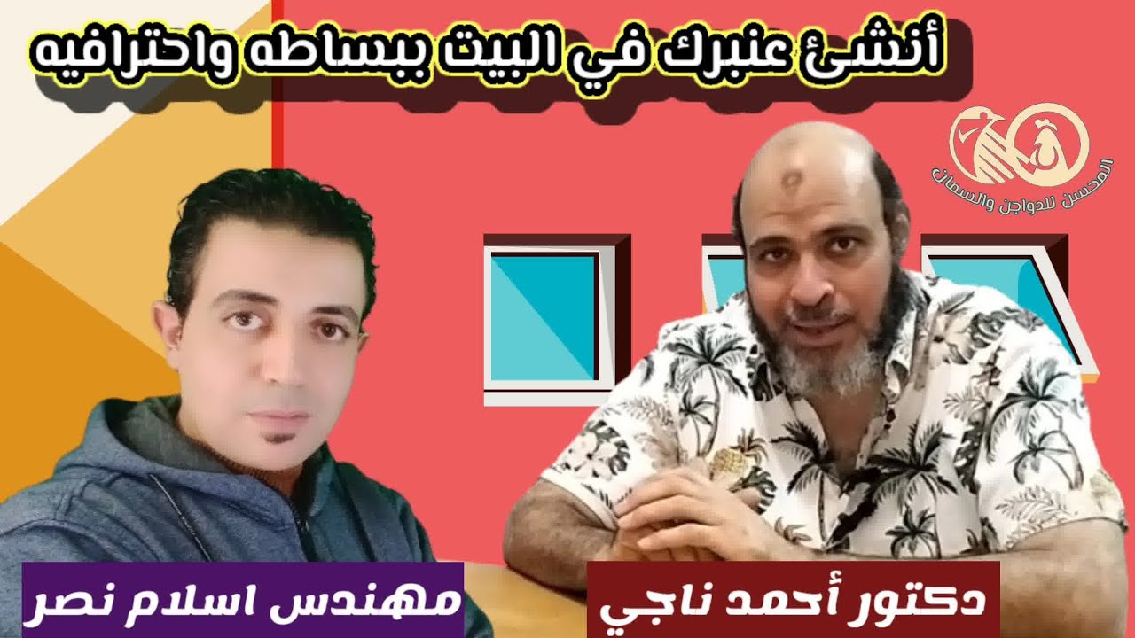 إزاي تجهز عنبرك في البيت بطريقة إحترافية وبأقل التكاليف 👑 المحسن#غزة#الفراخ#البيضا#الذهبية#