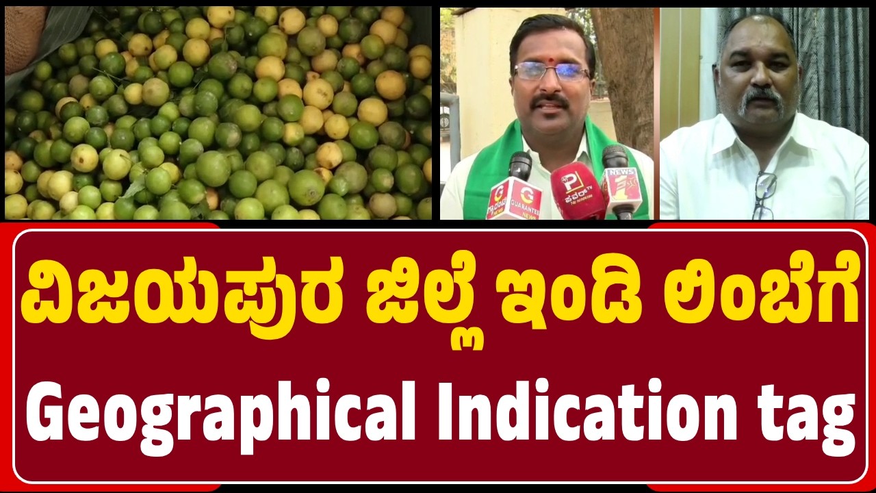 Vijayapura : Geographical Indication tag ಪಡೆದ ಇಂಡಿ ತಾಲೂಕಿನ Kagzi ತಳಿಯ ಲಿಂಬೆ | @newsfirstvijayapura