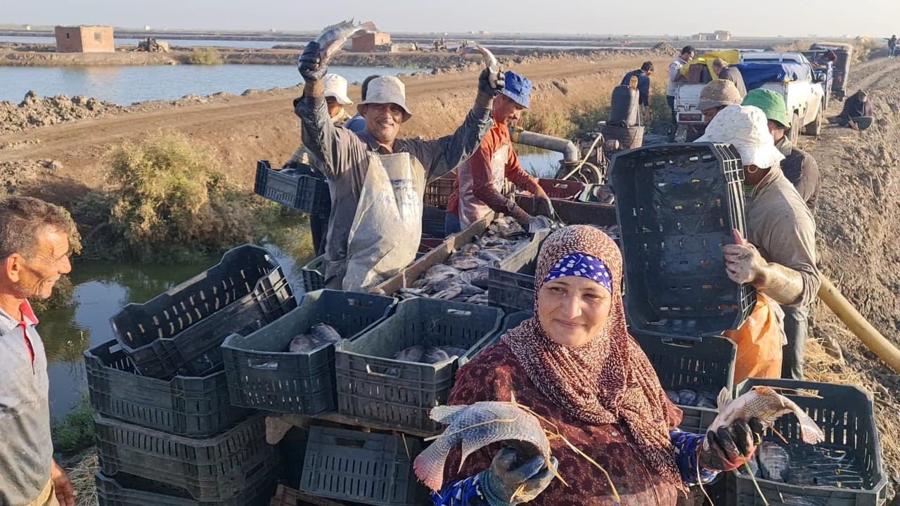 السمك في المزارع بالاسعار دي والله حرام لما يوصلنا ب ٥٠ج يلا بينا علي مزارع الرياض🏃🏃🏃🏃