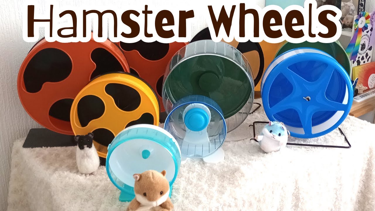 How and why do I have so many hamster wheels?
