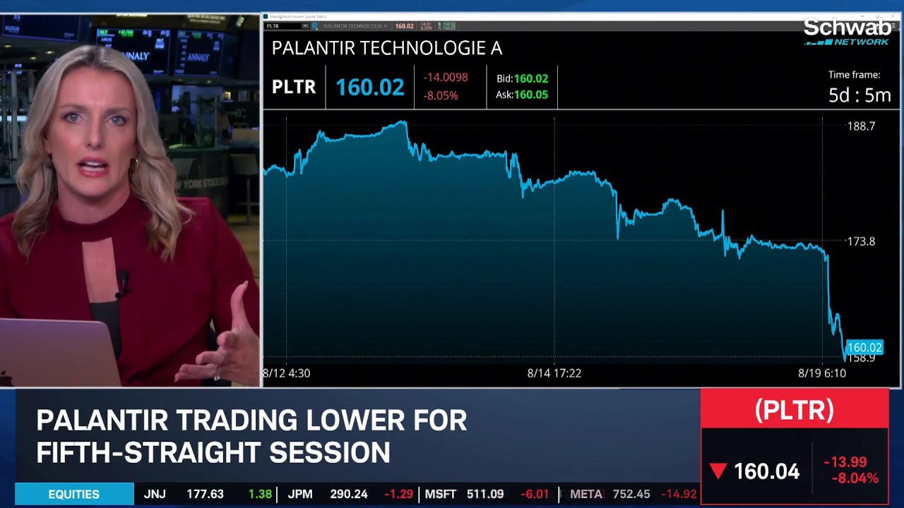 Palantir Worth $40? Citron Questions PLTR Valuation Over OpenAI Revenue
