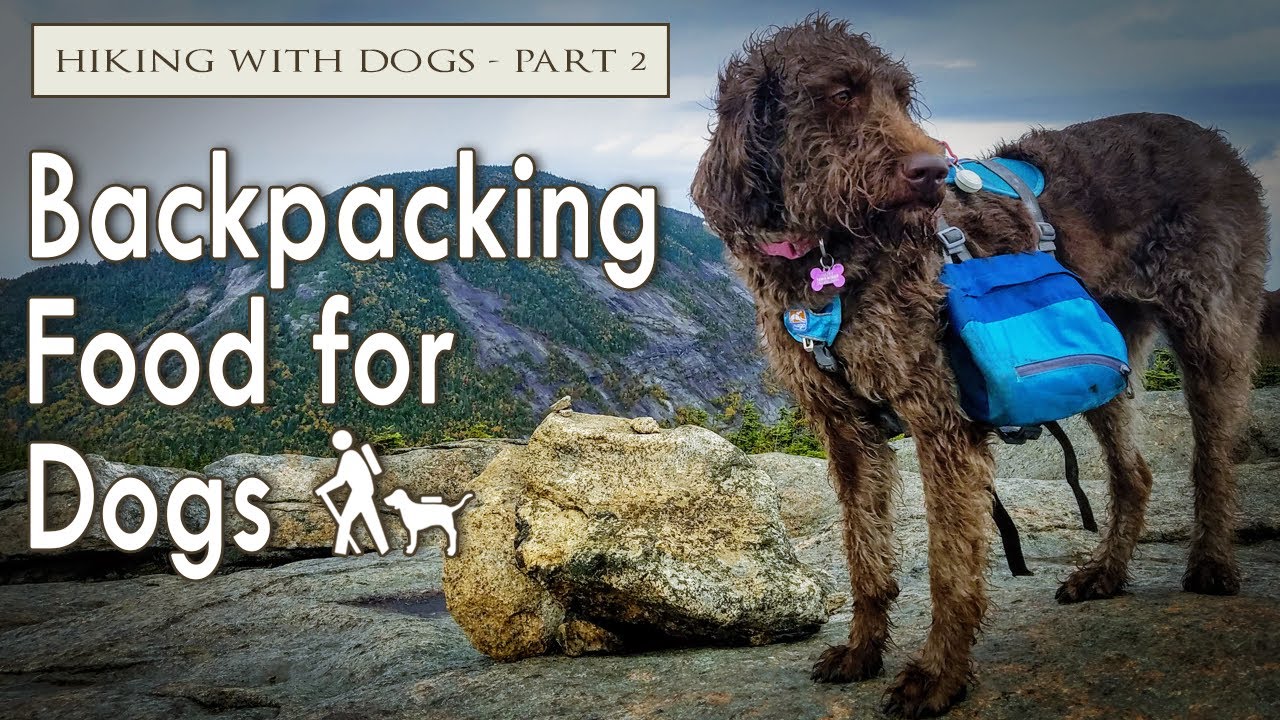 Backpacking Food for Dogs | Hiking with Dogs | Part 2 of 3