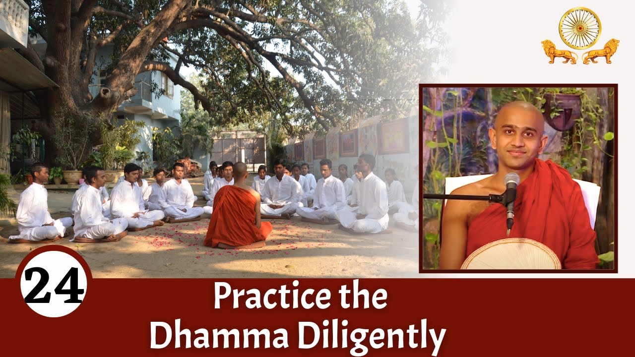Practice the Dhamma Consistently l Mirror of Dhamma l Episode 24