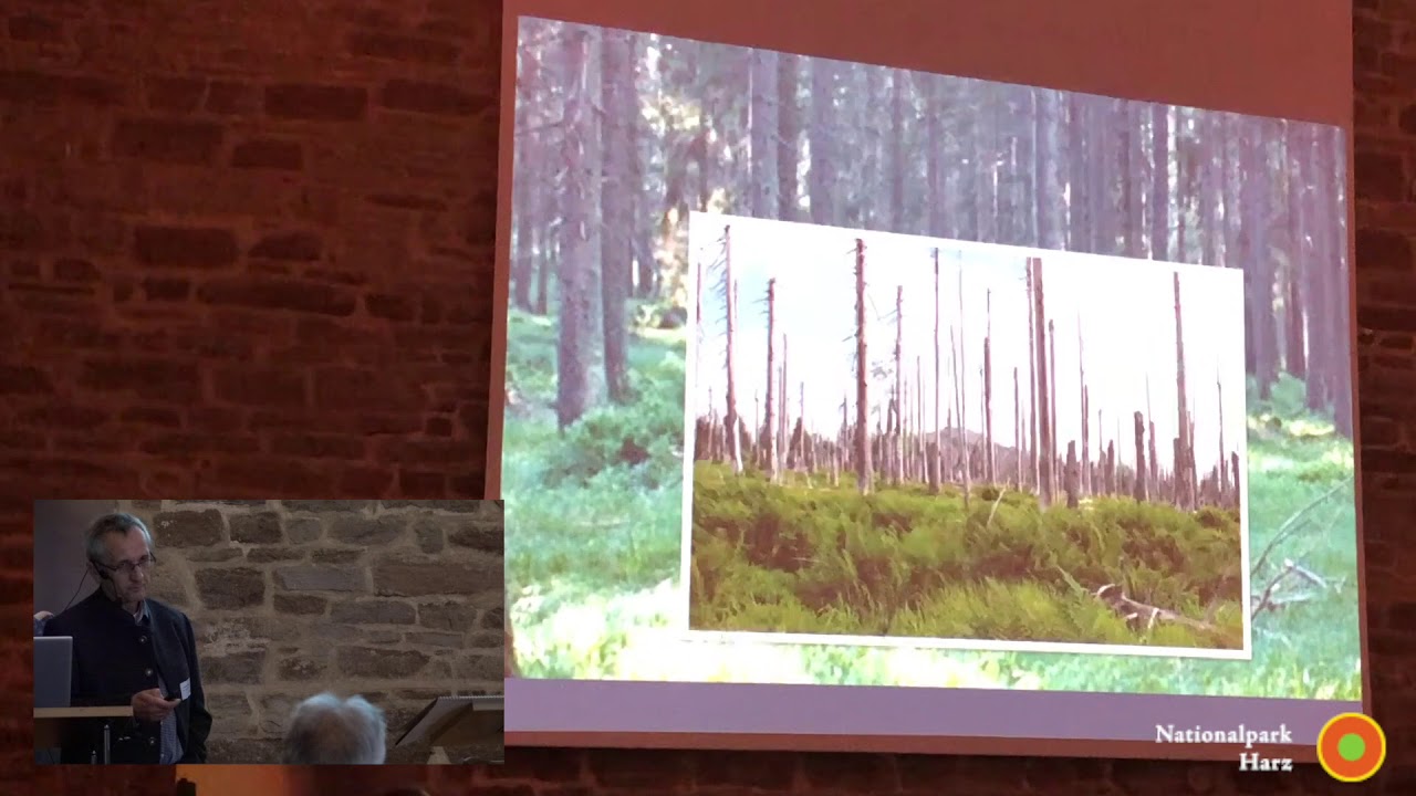 Vortrag: Borkenk&auml;fer am Lusen: eine Geschichte von Wald und Mensch - Josef Wanninger (2018)