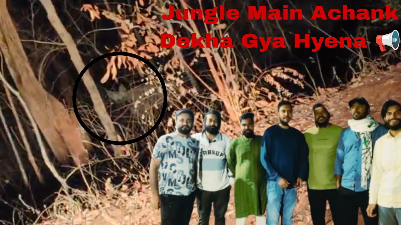😱 Jungle Mein Achanak Dikha Hyena | Real Wild Encounter Video in Live 📢🔥