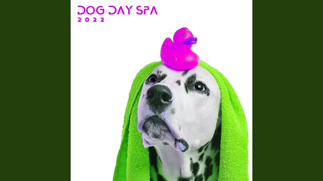 Fitness for Dogs