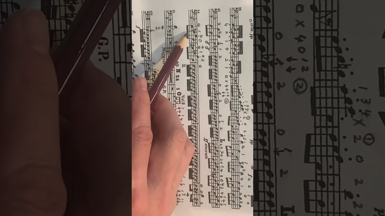 Haydn’s 101,2nd movement sheet music 