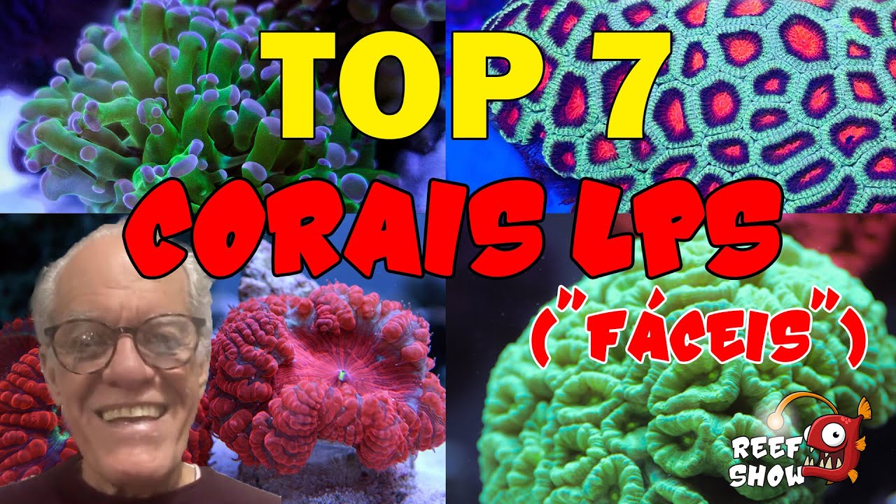 TOP 7 CORAIS LPS mais 