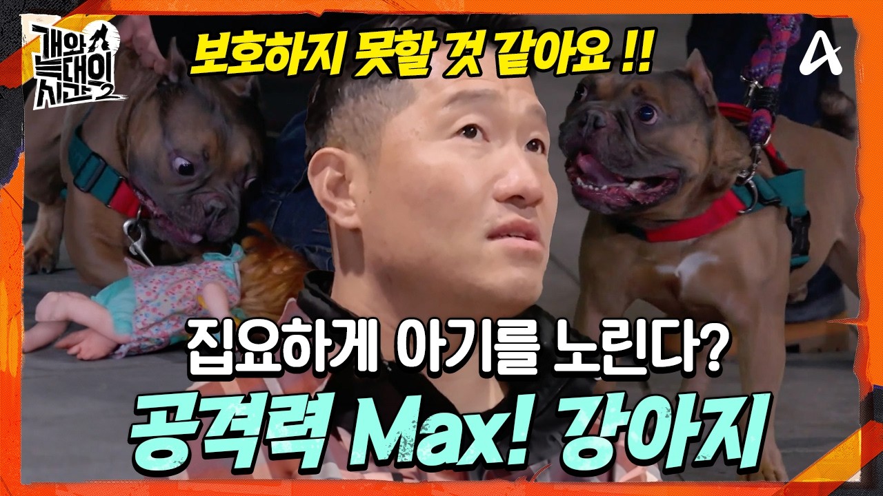 [#개와늑대의시간2] 🚨강형욱 심각🚨 