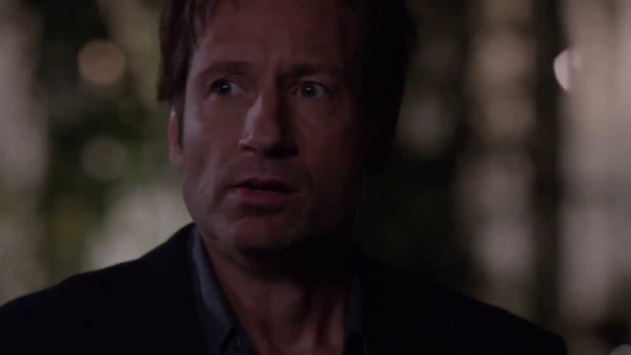 Californication: Hank Moody 