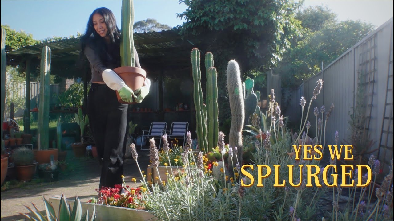 Cactus Haul, Plant Mail Unboxing and Repotting Old Favourites