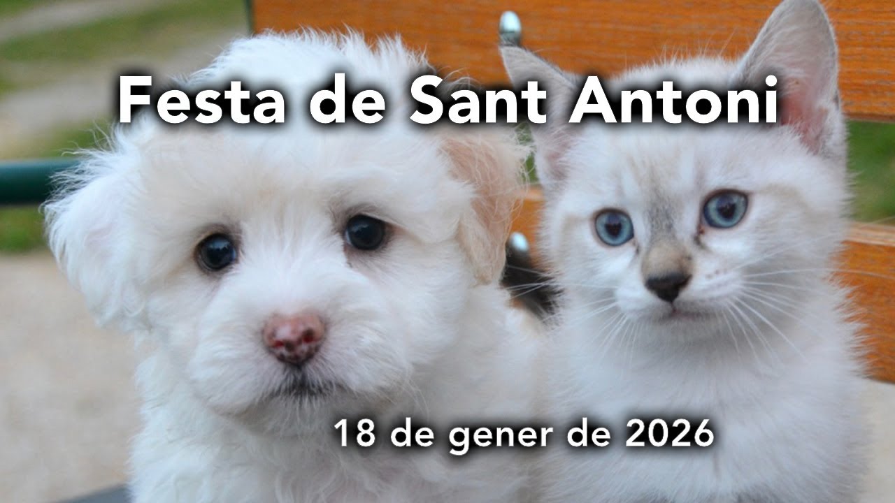 SAN ANTON 2026