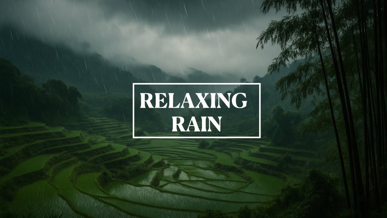 🌧 Soothing Southeast Asia Rice Paddy Rain Sleep & Relaxation Sounds