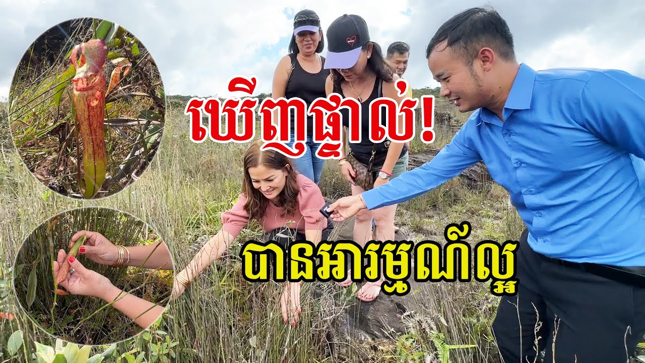 ហោះពីអាមេរិច មកមើលផ្កានេះផ្ទាល់ដល់ស្រុកខ្មែរ