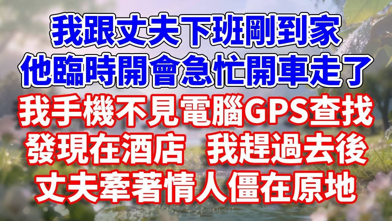 我跟丈夫下班剛到家，他臨時開會急忙開車走了，我手機不見電腦GPS查找發現在酒店 我趕過去後，丈夫牽著情人僵在原地#完結 #情感故事 #一口氣看完 #為人處世