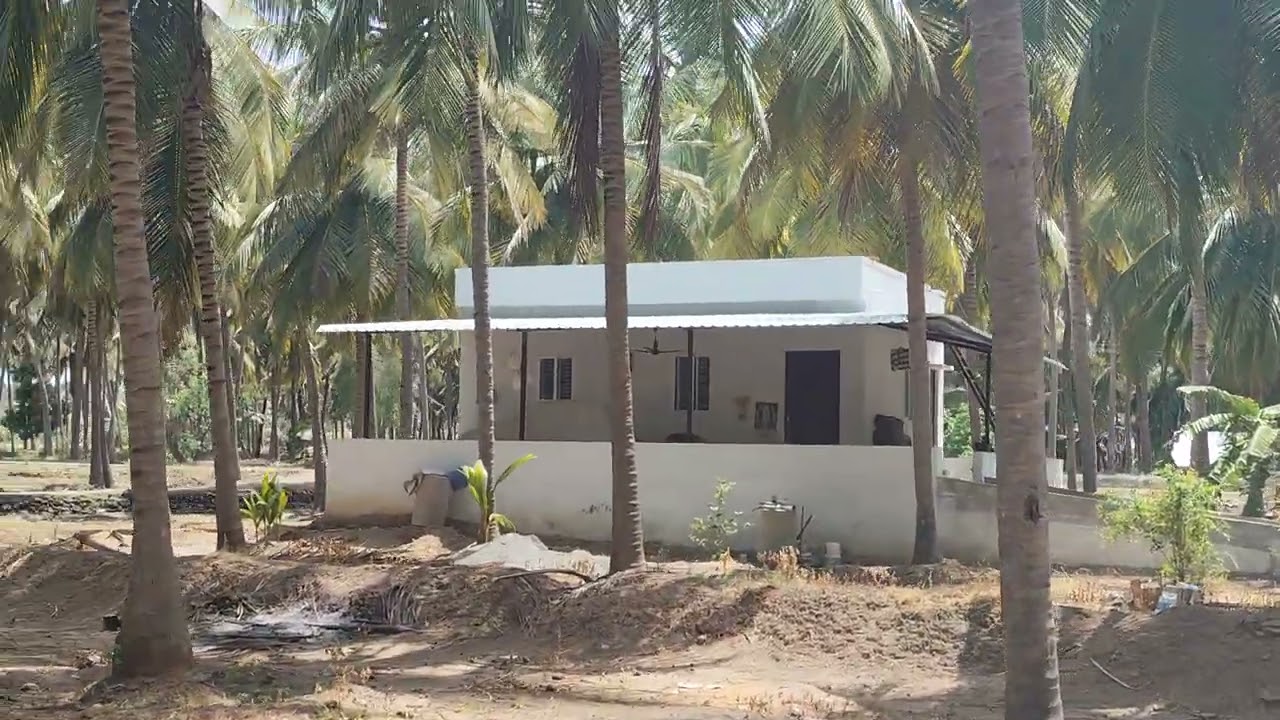 மொத்தம் 5.50 ஏக்கர் தென்னந்தோப்பு+ பண்ணை வீடு (RC)+தனி சர்வீஸ்+ தனி போர்+தனிக் கிணறு+ ரோடுபேஸ் #farm