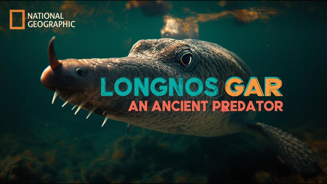Longnose Gar : The Ancient Predator That Refused to Evolve