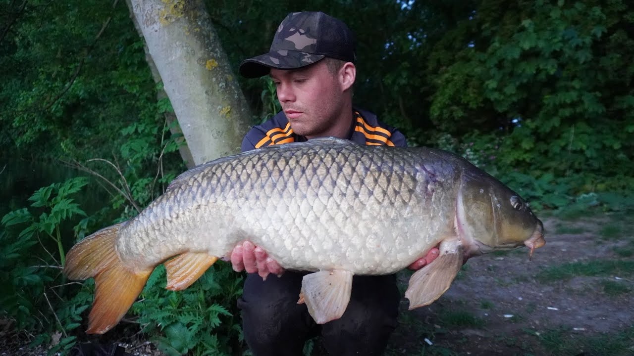 Karpervissen met de RONNIE-RIG 2025 | DWFishingteam