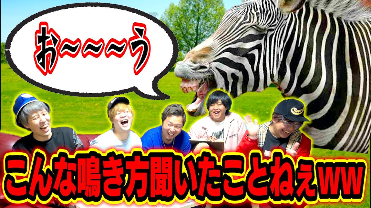 【異質】本来の鳴き方からかけ離れた動物たちがヤバいwww