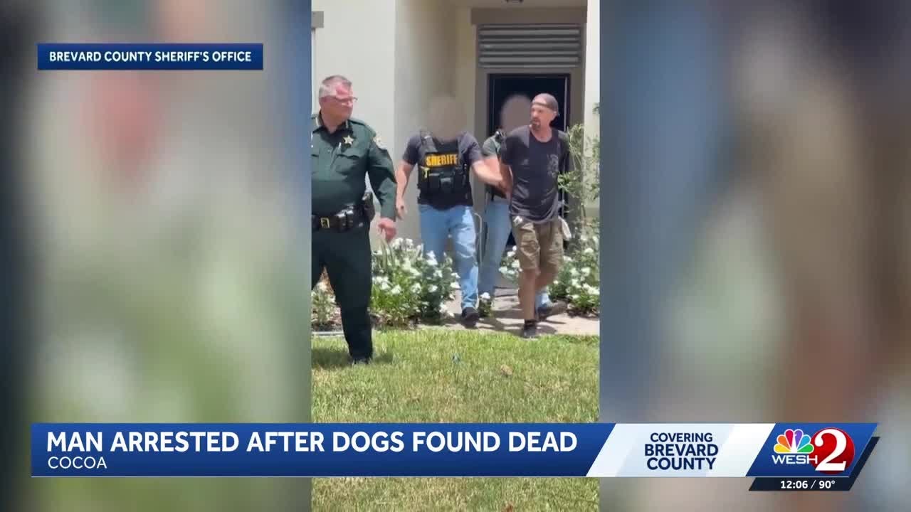 Partner of woman mauled to death by neighbor's dogs arrested after dogs found dead in trailer