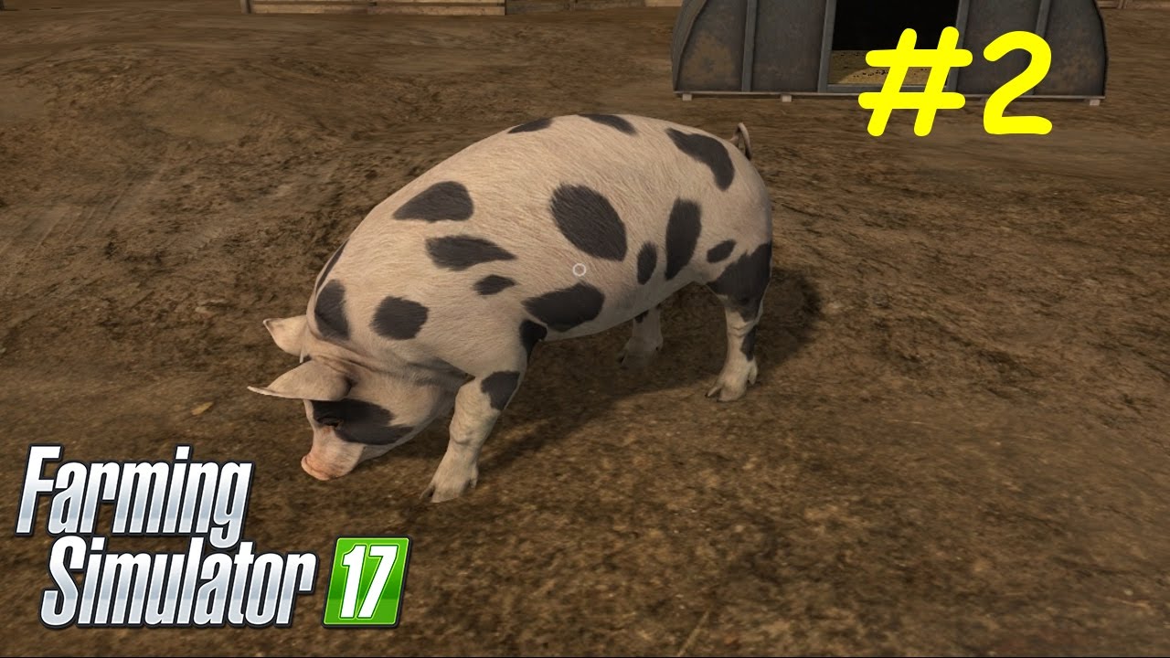 # 2 Farming Simulator 17 - Samouczek - Hodowla Świń - [SymulAnton] Gameplay