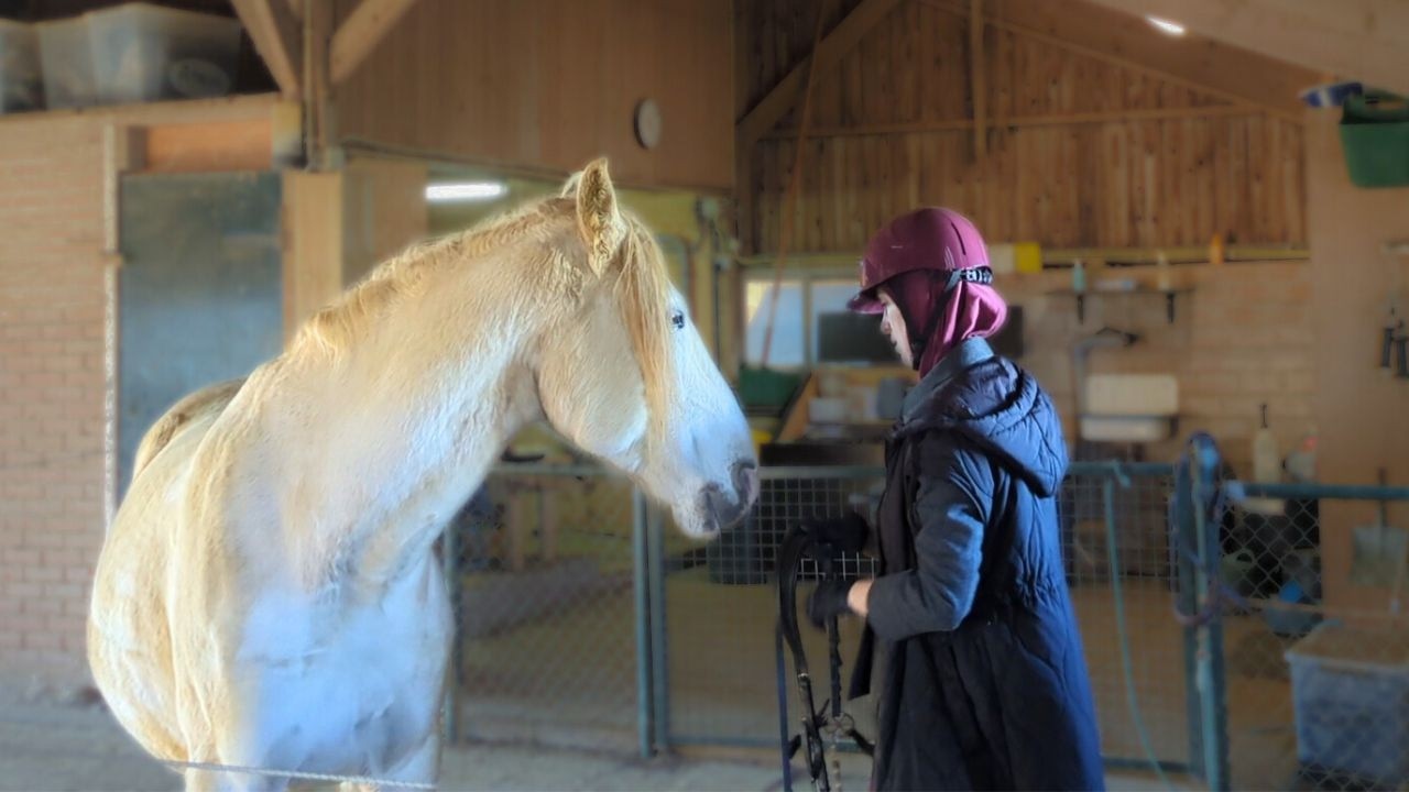 Jammerrrrr, ik had meer verwacht van dit gesponsorde ding | 𝘚𝘯𝘶𝘪𝘵𝘢𝘣𝘭𝘦