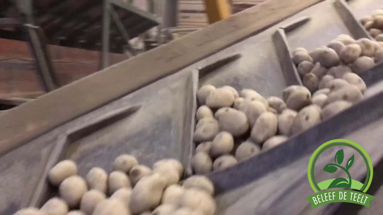 Aardappels sorteren | Beleef de teelt | #01