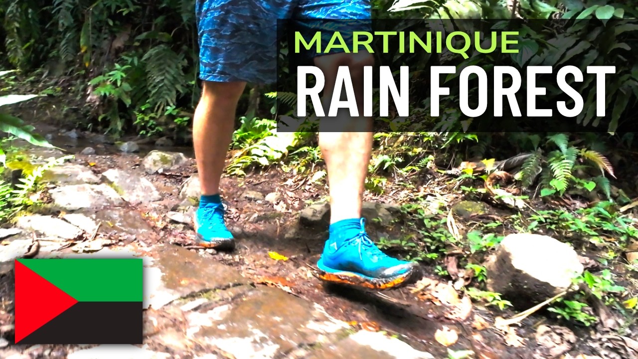 Martinique 🌿 Serene Rainforest Hike Virgin Voyages Excursion
