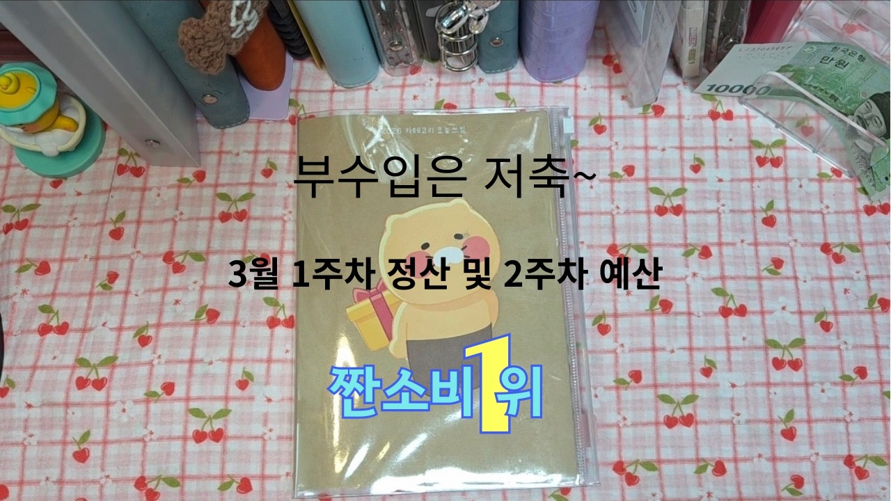 부수입은 저축했어요ㅣ3월 1주차 정산 및 2주차 예산