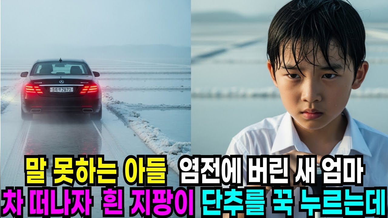 말 못하는 아들 염전에 버린 새엄마  차 떠나자 흰 지팡이 단추를 꾹 누르는데#노후사연 #사연라디오 #오디오북 #감동사연 #인생사연