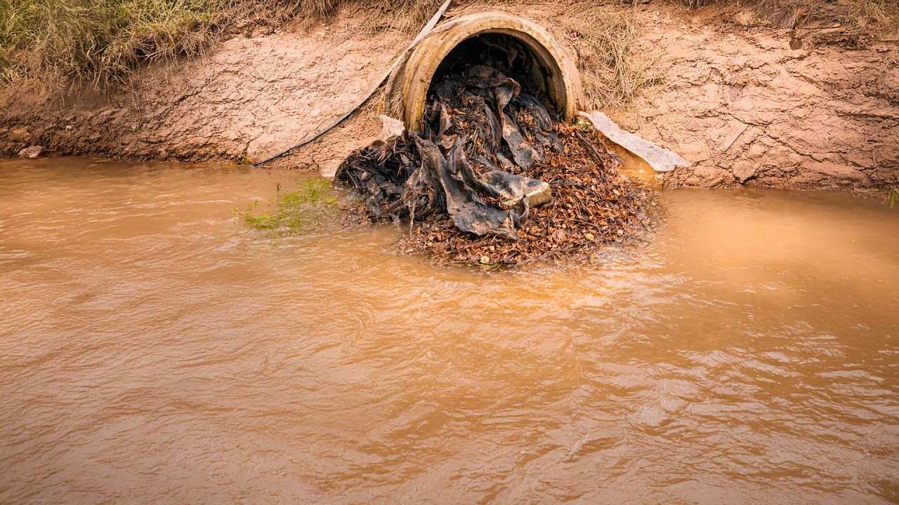 Farm Flood Prevention Clearing a Huge Culvert Outflow